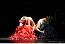 Ballet Flamenco de Vino y Rosas