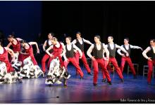 Ballet Flamenco de Vino y Rosas
